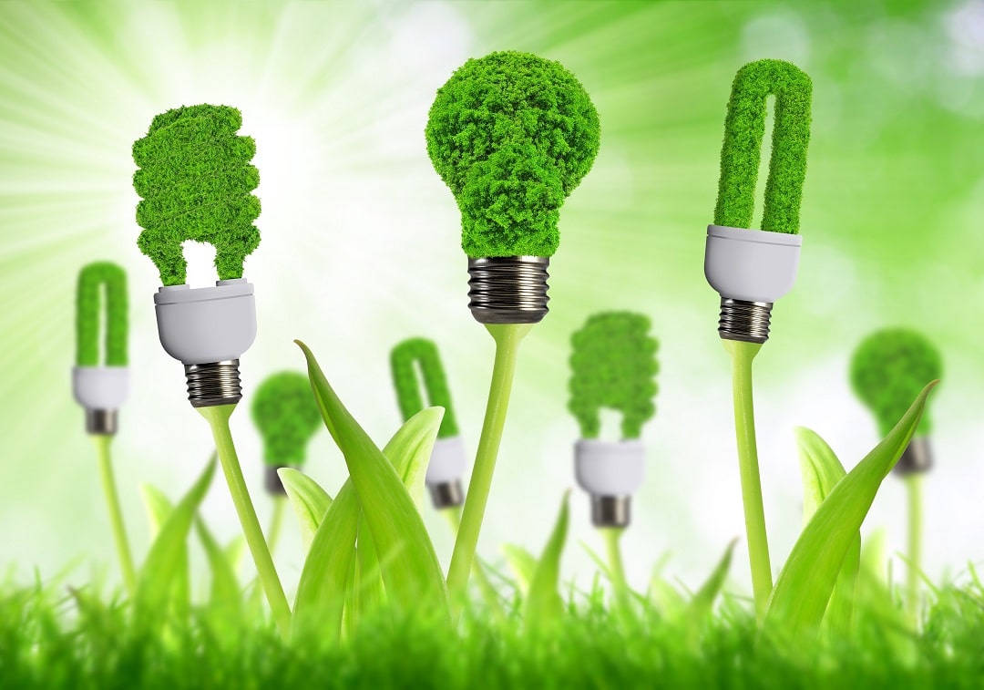 Switch to enegy efficient CFL or led green lights - Superior Energy Rating